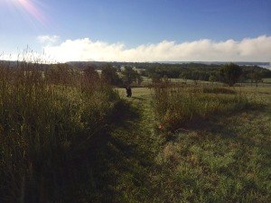 Prairie Above Land's End (note event photographer)