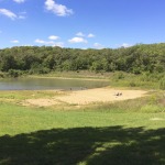 Nearly Empty Swimming Hole